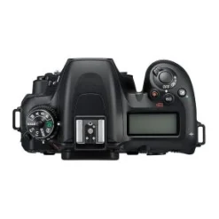Nikon Interchangeable Lens Cameras | D7500 Body