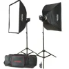 Godox Video Lighting | MS Series 300W X2 Studio Light Kit